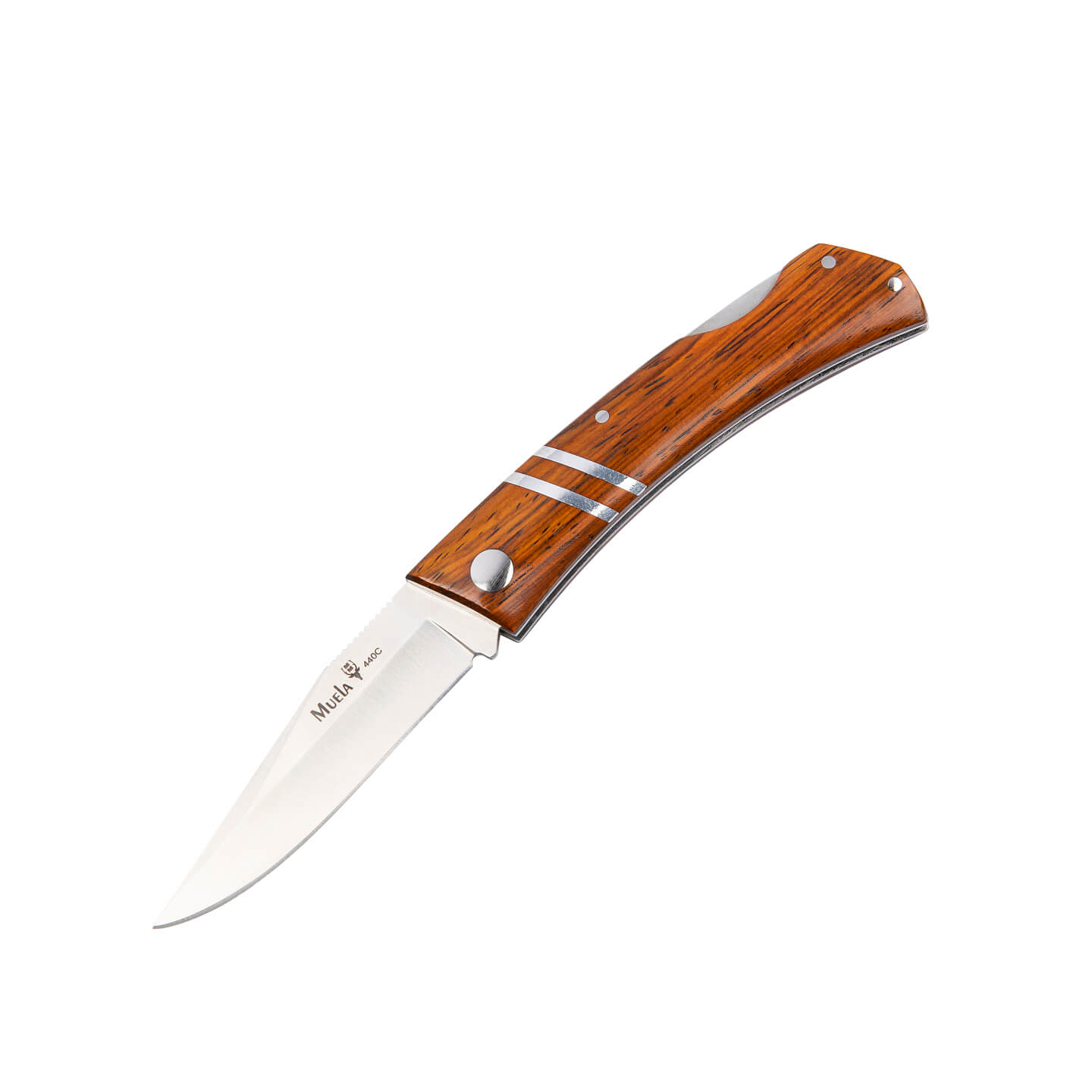 Couteau de chasse Muela ZX-8CO avec manche en bois de cocobolo et...