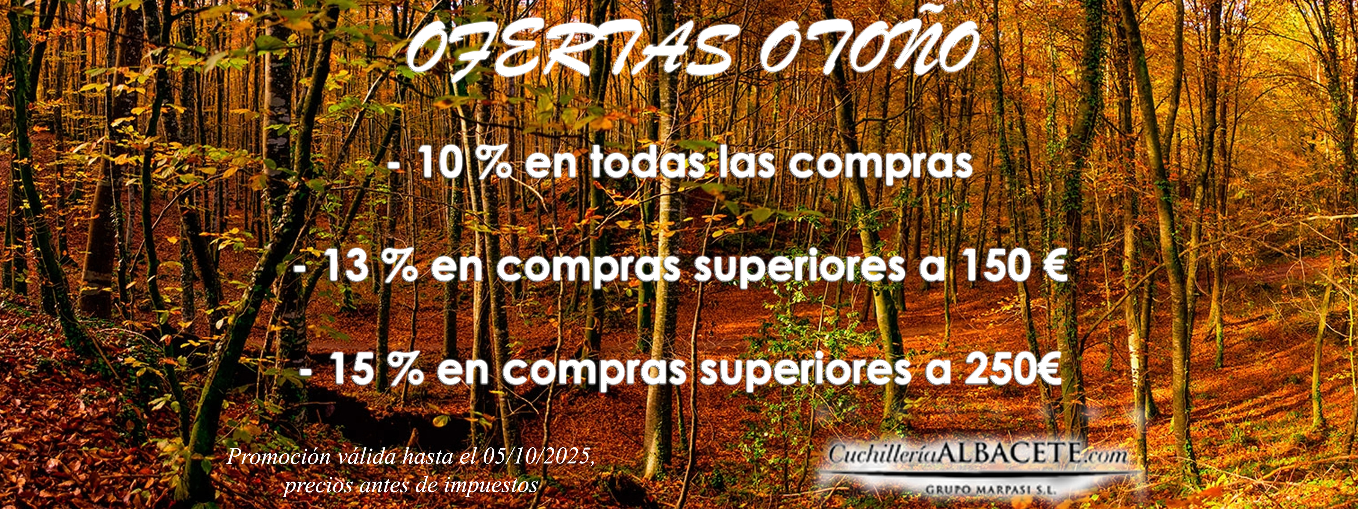 OFERTAS OTOÑO