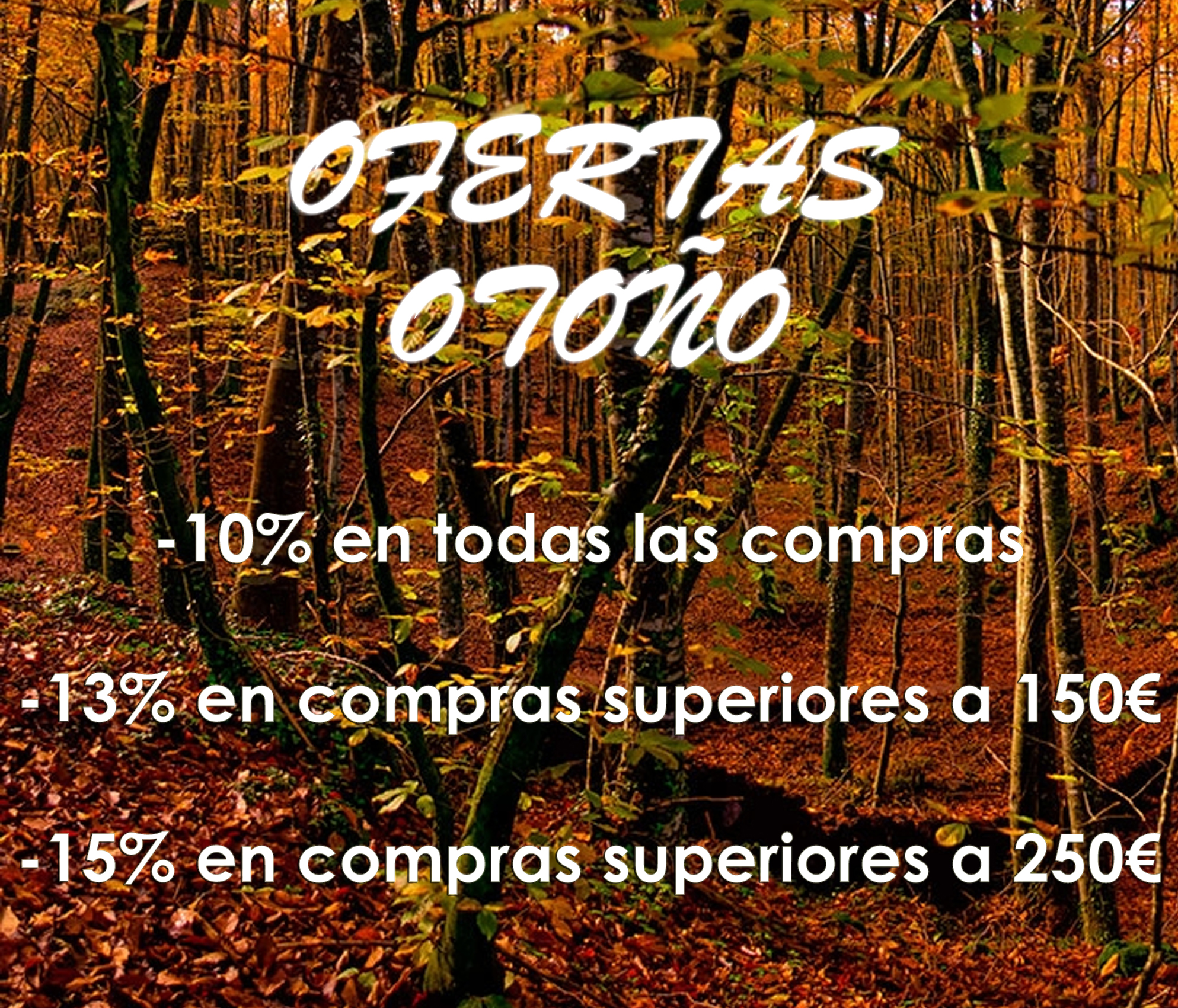 OFERTAS OTOÑO
